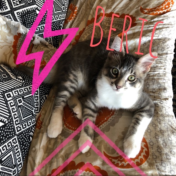 Meet your buyer, and her cat! Meow! - Picture 6 of 6